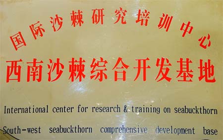 公司被列為“國際沙棘研究培訓中心”暨“西南沙棘綜合開發基地”